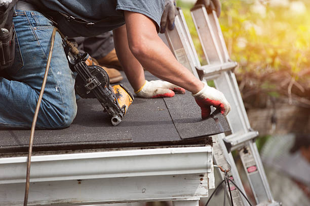Best Roof Gutter Cleaning  in Rifle, CO